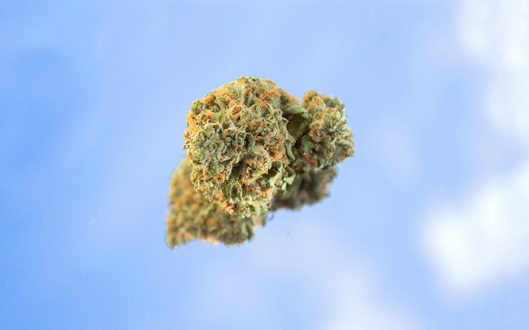 Time for a Reset: Tips for a Successful THC Tolerance Break