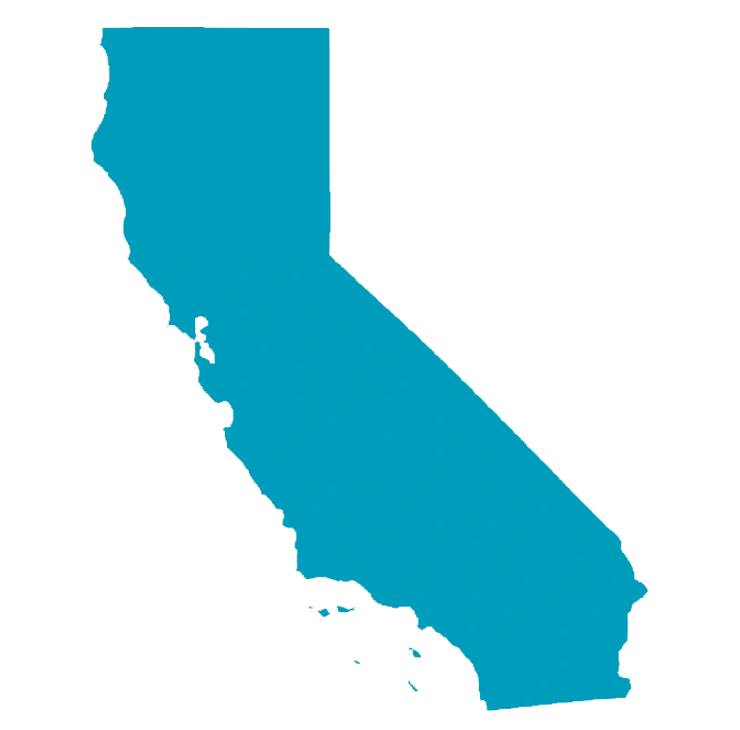 Birdies Available In California